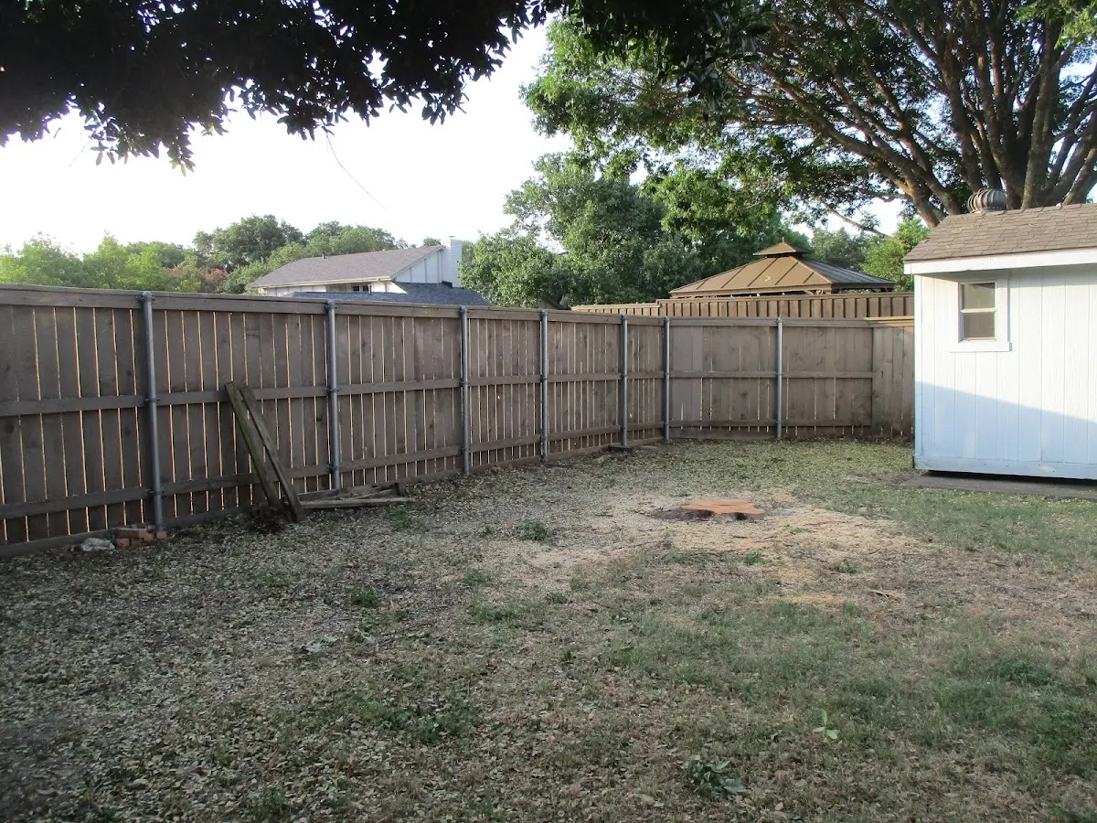 Cleared yard after professional tree removal in Petersburg